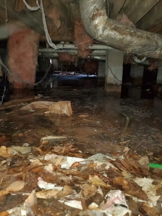 Crawl space flood assessment for Leak Detection & Repair in Hinesville